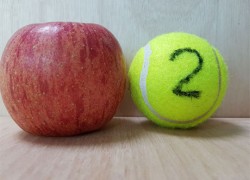 부사(로얄후지) 아동용 5kg 22개