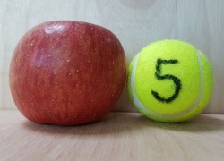 부사(로얄후지) 가정용 5호 5kg 18개