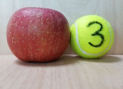 부사(로얄후지) 가정용 15kg 60개