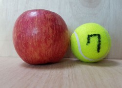부사(로얄후지)  선물용 7호 10kg 32개