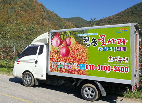 부사(로얄후지)  선물용 7호 5kg 16개