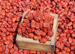 마른 대추 1KG
